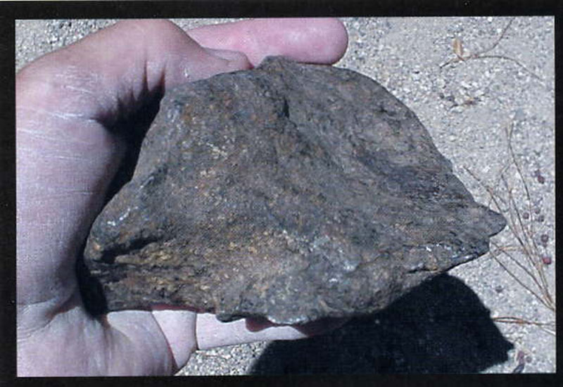 RobertHaag2003-026