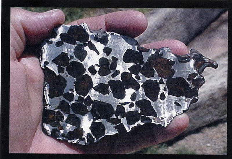 RobertHaag2003-045